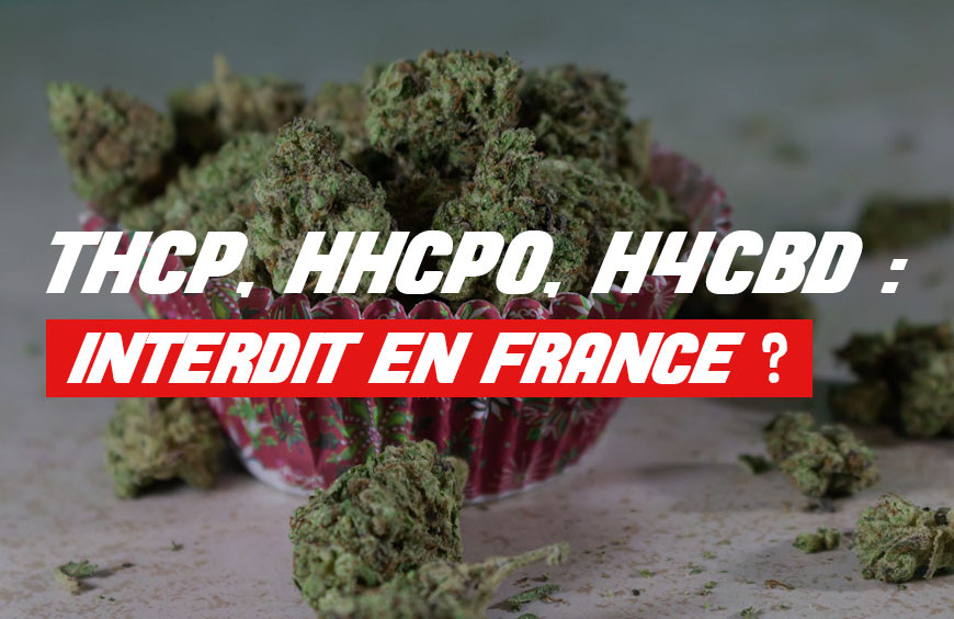 Interdiction du THCP, H4CBD et HHCPO 