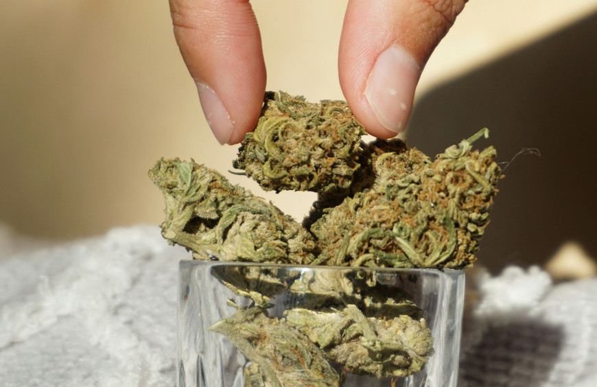 Statistiques et Tendances du Marché du CBD :  Ce que Vous Devez Savoir en 2024