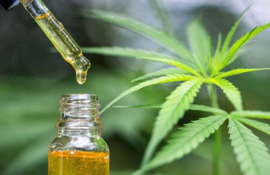 Comment utiliser l’huile de CBD ?