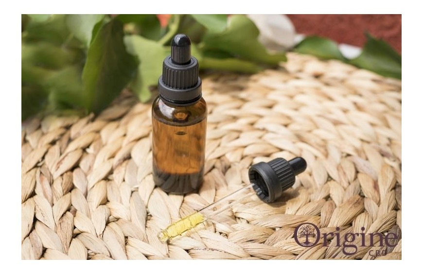 Quelle est la différence entre la base MCT et base chanvre pour une huile de CBD ?