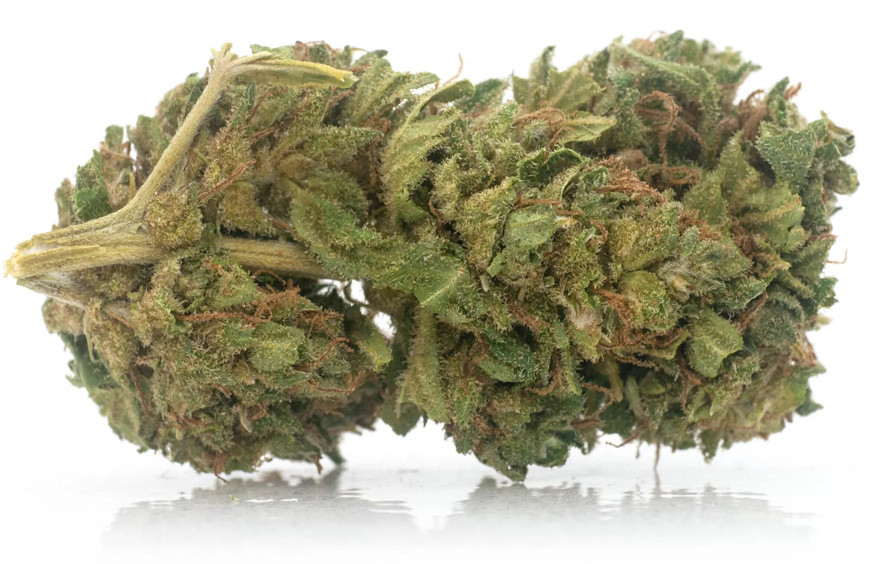 Tout savoir sur la variété HAZE !