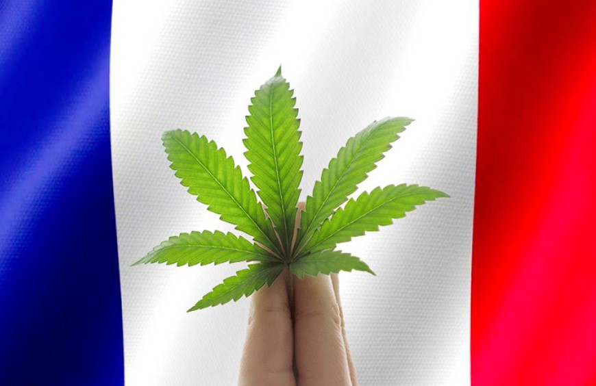 Bonne nouvelle pour les amateurs de fleurs CBD : la vente est maintenant autorisée de manière définitive