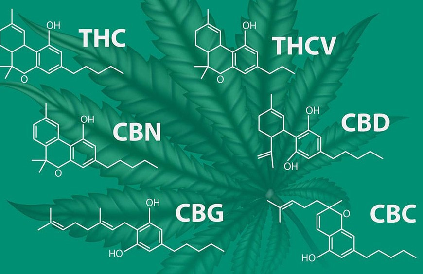 Les molécules CBD : HHC, H4CBD, CBD, CBN, CBG, THCP 