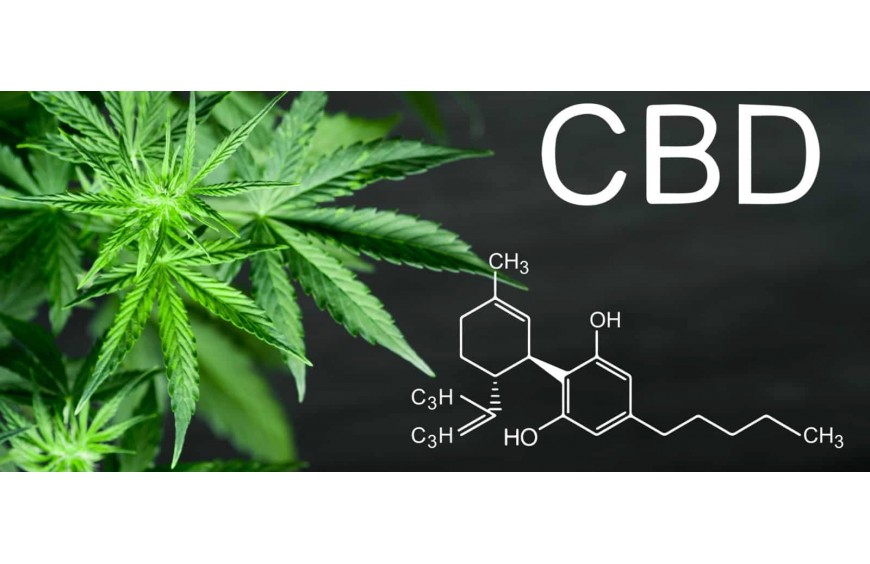 CBD : quels sont les effets ?
